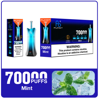 Fumot Mint 70K Puffs - Image 3